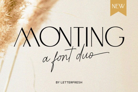 Monting Duo: A Modern and Elegant Typeface Collection